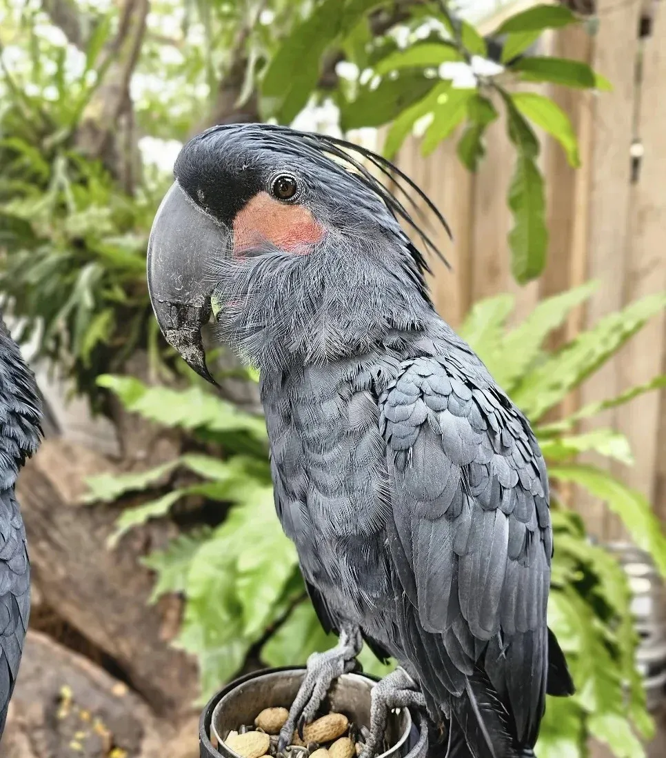 微信图片_20261019203749_58_3-crop.webp