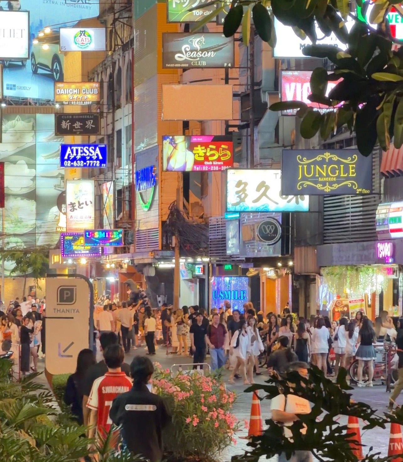 夜生活配图